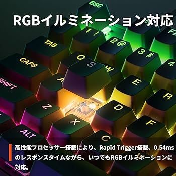 Amazon.co.jp: SteelSeries ゲーミングキーボード テンキーレス 有線