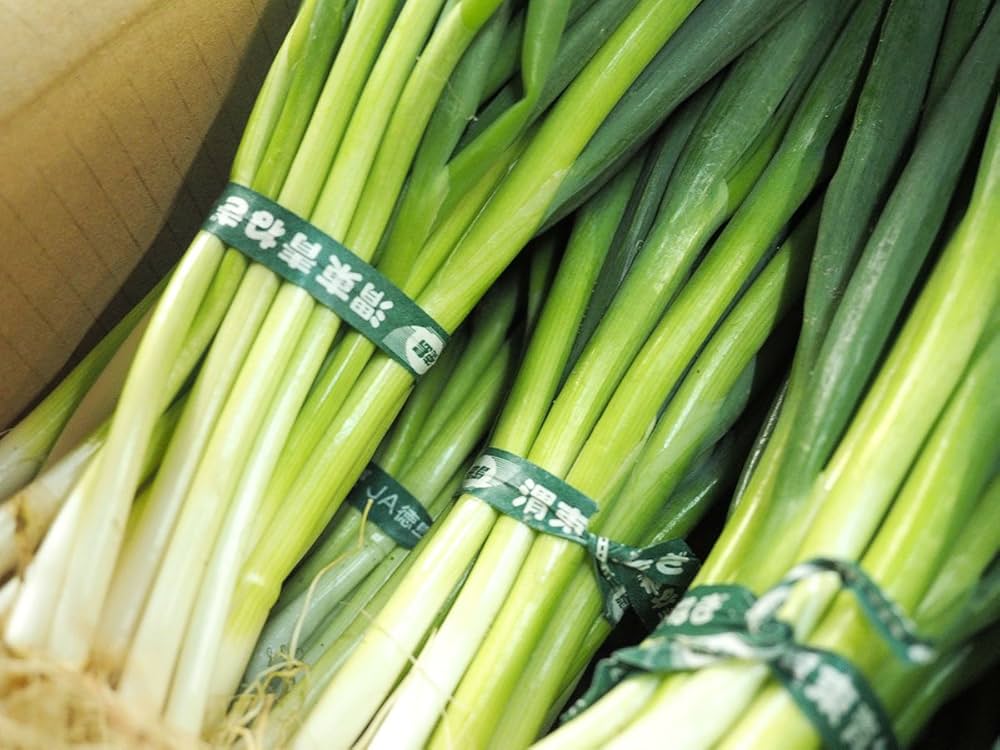 Amazon.co.jp: 徳島県産 渭東ねぎ （いとうねぎ） 500g×10束入（箱