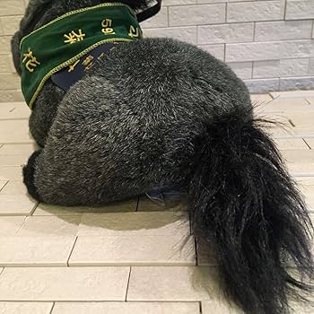 Amazon.co.jp: 第59回 菊花賞 セイウンスカイ 競馬 競走馬 馬