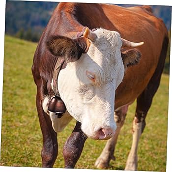 寺院 仏鈴 青銅 ミャンマー アンティーク 牛 カウベル 牛鈴 – the