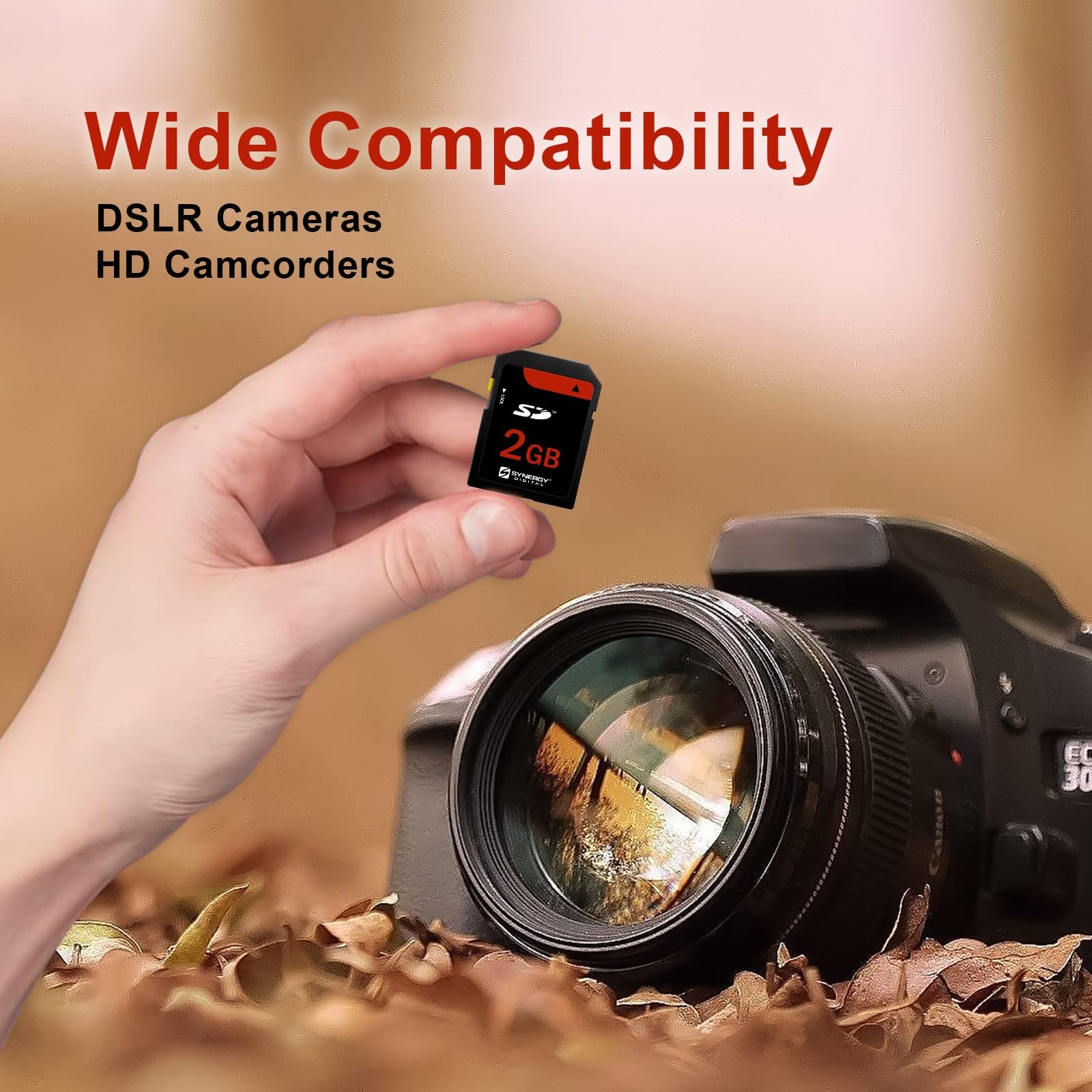 Amazon.com: Casio Exilim EX-S3 Digital Camera Memory Card 2GB