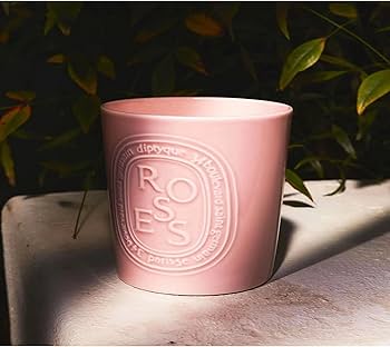 Amazon.com: Diptyque Roses Candle 600g Porcelain jar Luxury Candle