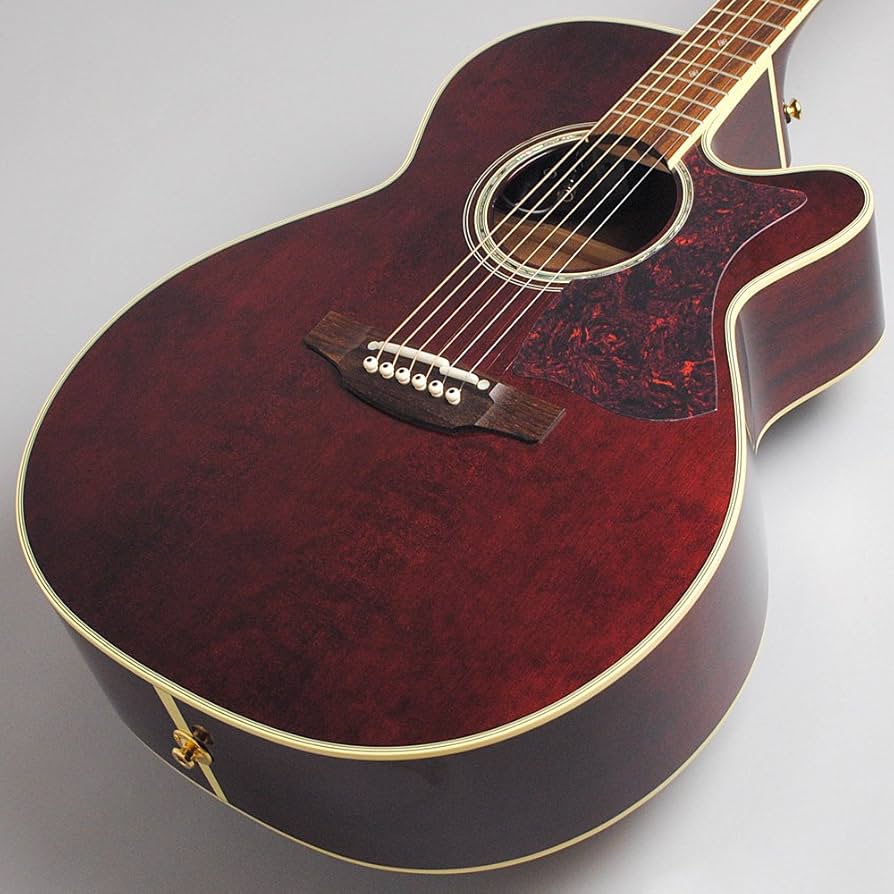 Amazon | Takamine DMP551C WR エレアコギター 500シリーズ (タカミネ