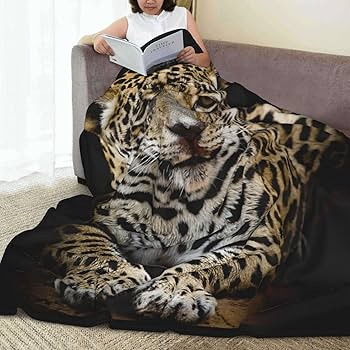 713g01xIHOL._AC_UF350,