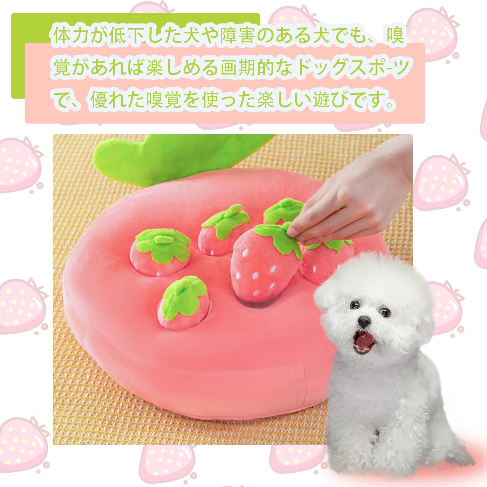 Amazon.co.jp: Malcsteridペット用品,いちごのぬいぐるみおもちゃ