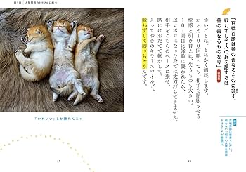 幸せをつかむ！戦略教本 にゃん子の兵法 | 福田晃市 |本 | 通販 | Amazon