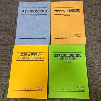 Amazon.co.jp: 駿台 世界史 夏期講習テキスト パリ 2025年度版 : おもちゃ