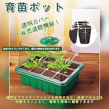 Amazon.co.jp: lanzoub 育苗ポット 育苗トレイ 6個セット 72穴 植物