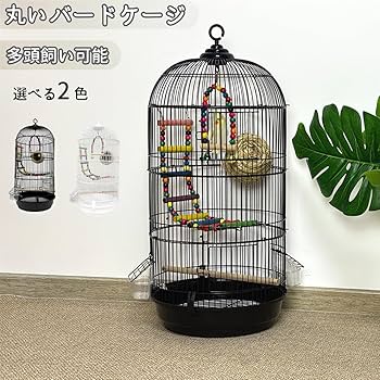 Amazon | RAKU バードケージ 鳥カゴ 鳥小屋 複数飼い 止まり木