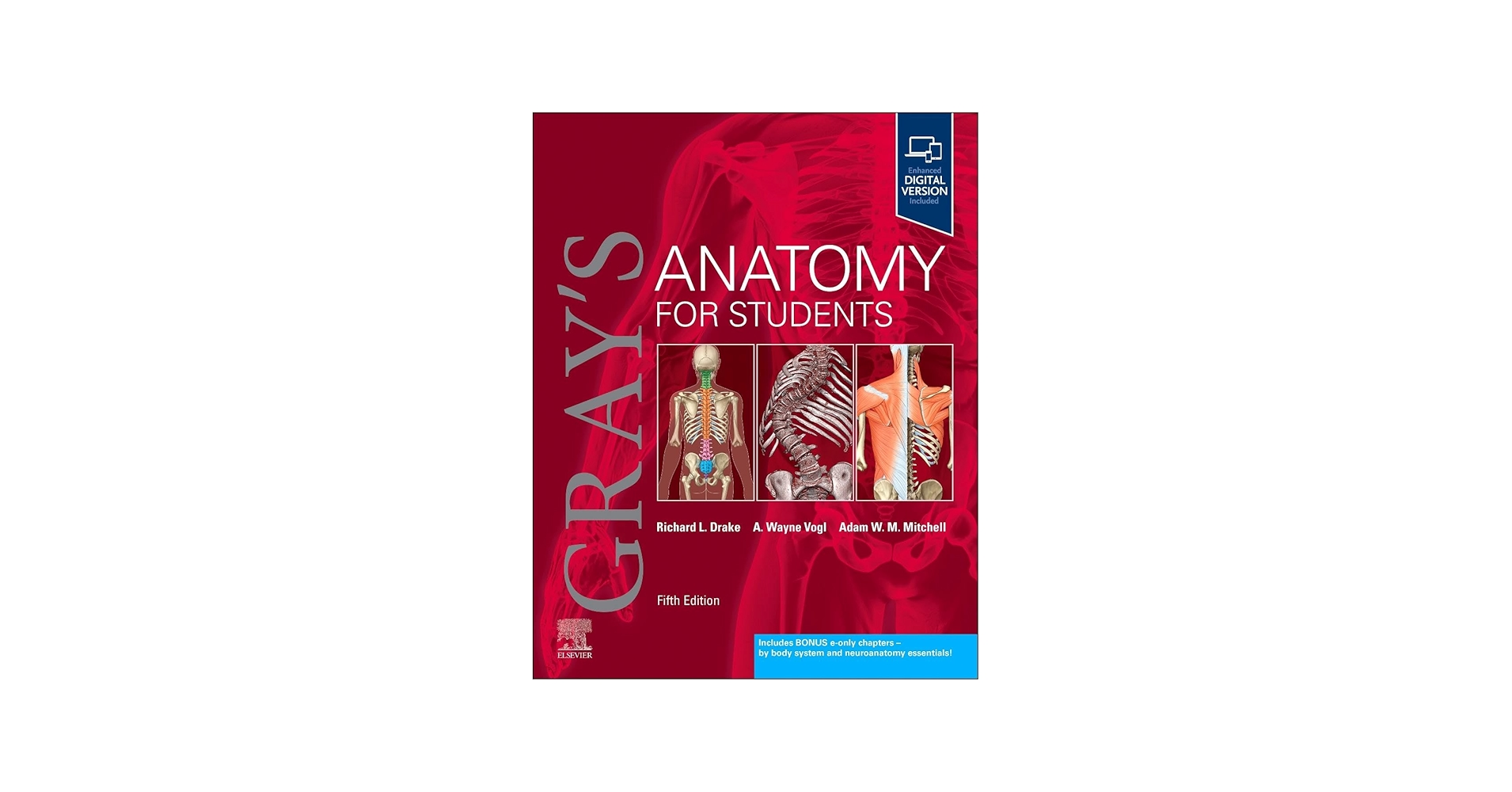 Gray's Anatomy for Students: 9780323934237: Medicine & Health