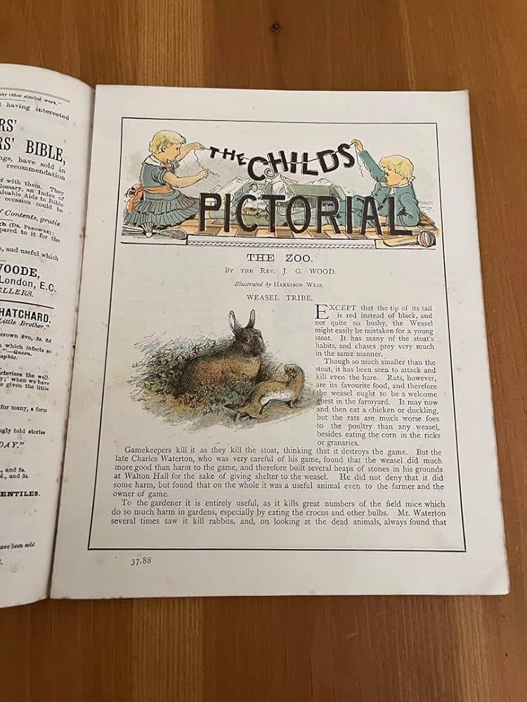 chapeau 超稀少1890アンティーク絵本 ヴィクトリアン 児童書