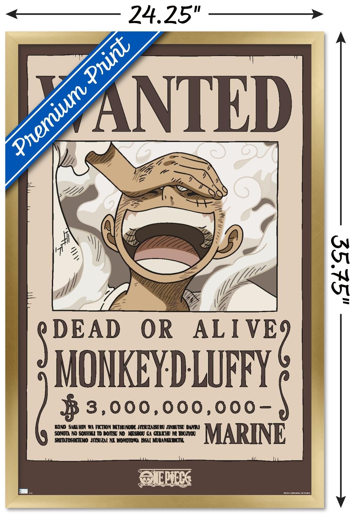Amazon.com: Trends International One Piece - Monkey D Luffy Wanted