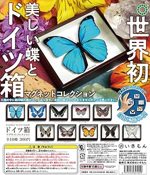 Amazon | 【オオムラサキ】単品 ドイツ箱マグネットコレクション 蝶