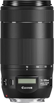 Amazon.com : Canon EF 70-300mm f/4-5.6 IS II USM Lens (Renewed