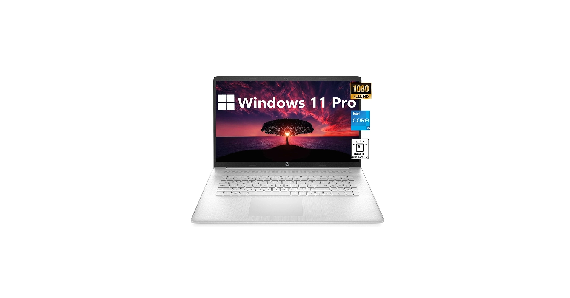 Amazon.com: HP [Windows 11 Pro] Business Laptop, 11th Gen Intel