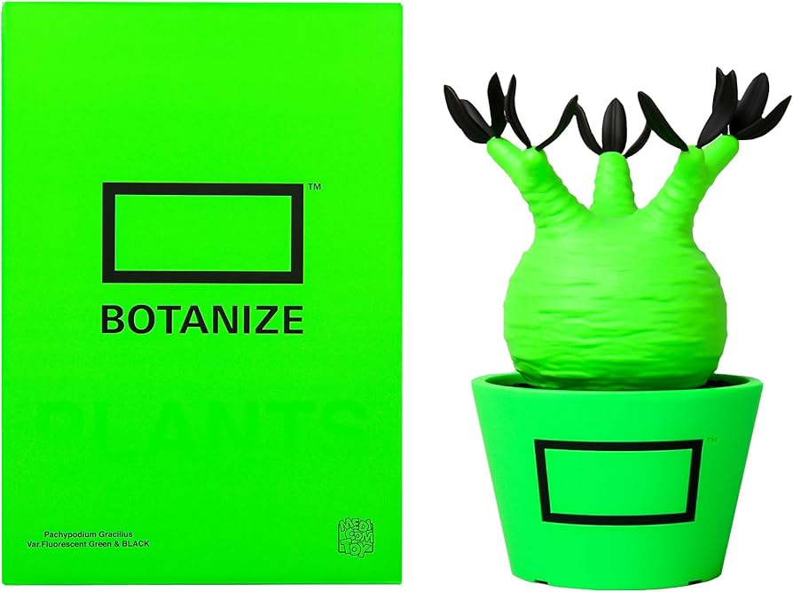 Amazon | BOTANIZE × MEDICOM TOY パキポディウム グラキリス