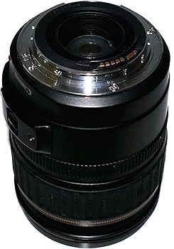 Amazon.com : Canon EF 28-135mm f/3.5-5.6 IS USM Zoom Lens for
