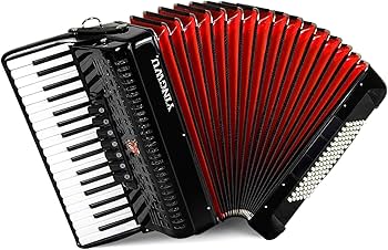 Amazon.com: Accordion 37 Keys 96 Bass, Professional Piano-Style