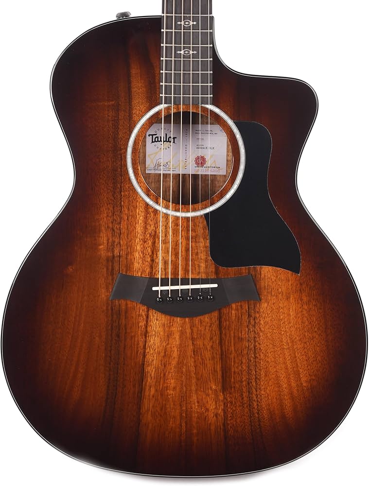 Amazon.com: Taylor Taylor 224ce-K DLX Grand Auditorium Acoustic