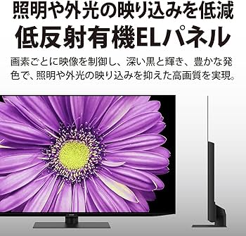 Amazon.co.jp: シャープ 55V型 低映り込み 有機EL テレビ AQUOS OLED