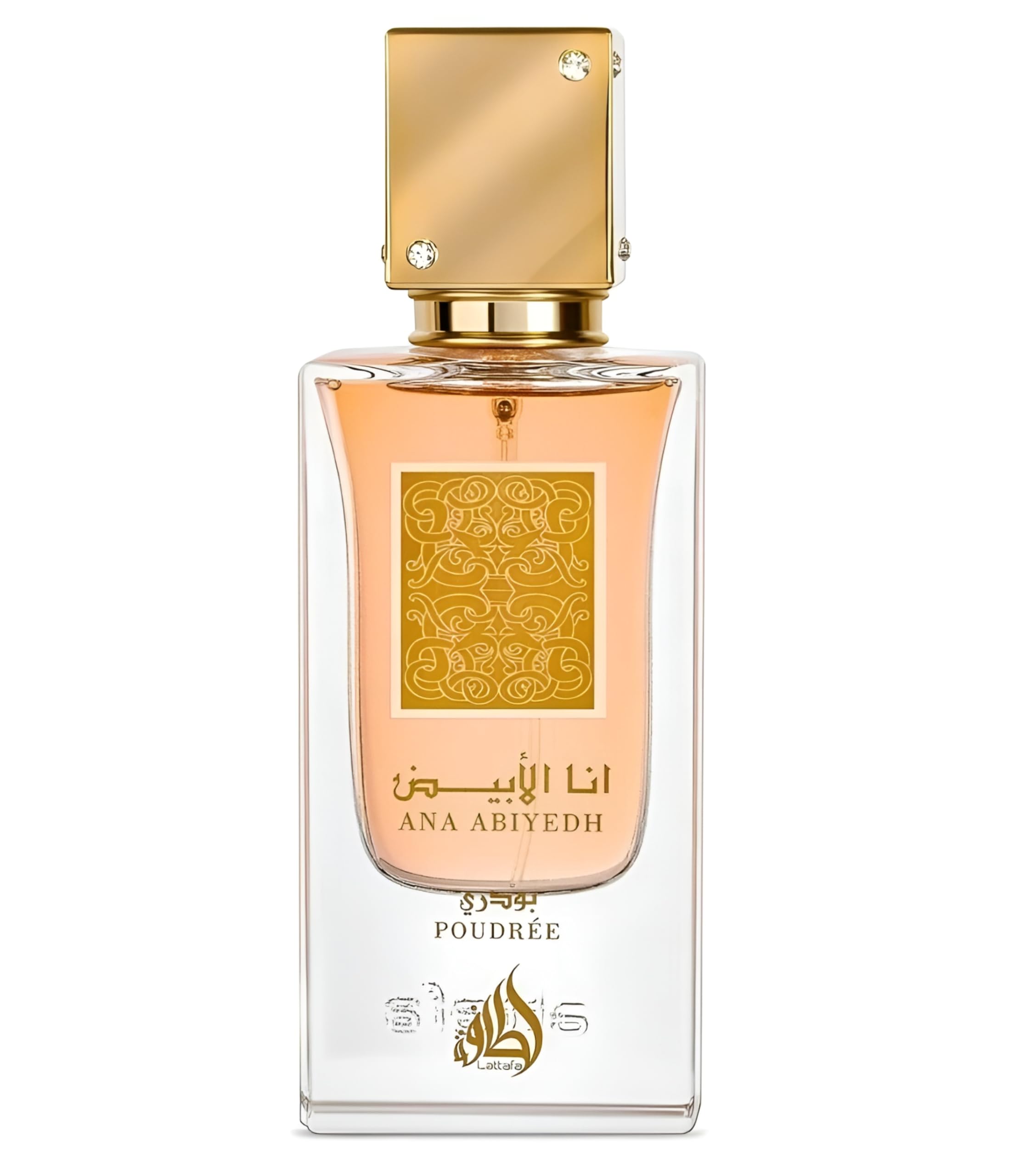 Amazon.com: Lattafa Ana Abiyedh Poudree for Women Eau de Parfum