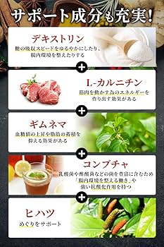 Amazon | slatto お腹の脂肪 内臓脂肪/皮下脂肪を減らす ダイエット