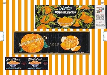 缶詰ラベルコレクション MADE IN JAPAN (青幻舎ビジュアル文庫シリーズ