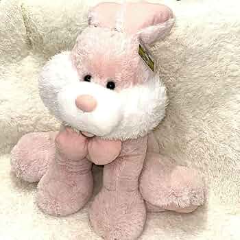 71wcF+O2r5L._AC_UF350,