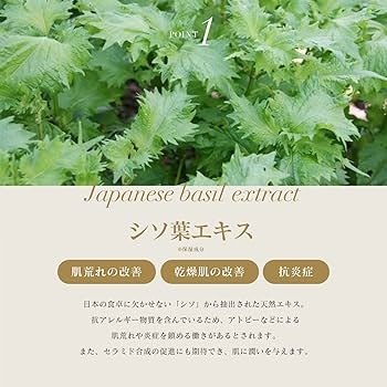 Amazon | バーミィローション2 化粧水 イナータススキンケア