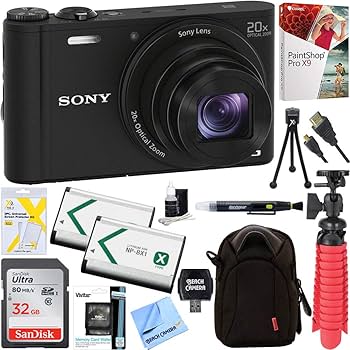 Amazon.com : Sony Cyber-Shot WX350 Compact Digital Camera with 20x