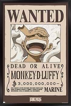 Amazon.com: One Piece - Monkey D Luffy Wanted Poster Wall Poster