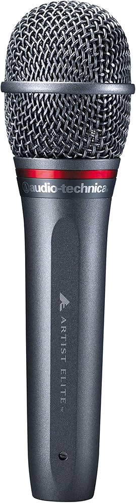 Amazon.com: Audio-Technica AE6100 Hypercardioid Dynamic Handheld