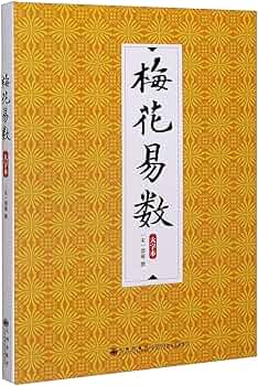 71x9MVdJAxL._AC_UF350,