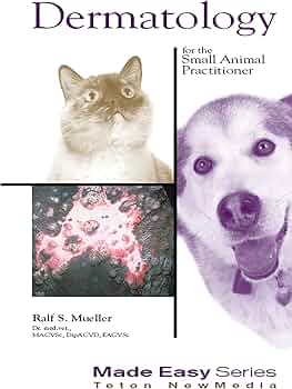 71xBr5ALArL._AC_UF350,