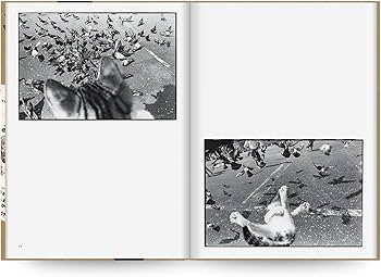 サスケ | 深瀬昌久 |本 | 通販 | Amazon