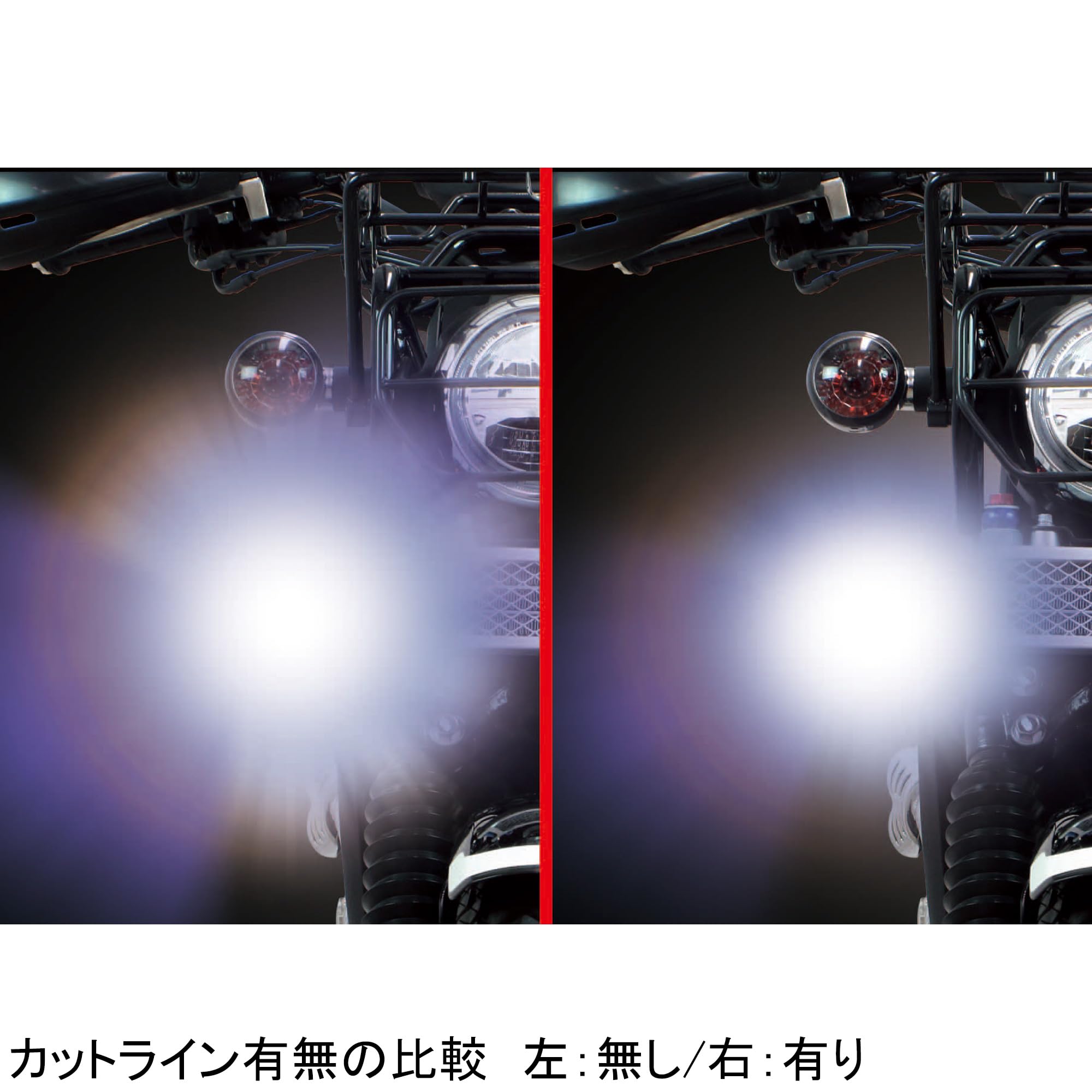 Amazon | スペシャルパーツ武川(TAKEGAWA) LEDフォグランプキット