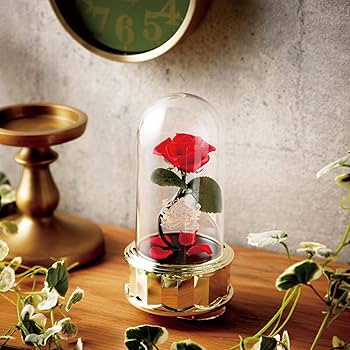 71y1Wek+pML._AC_UF350,