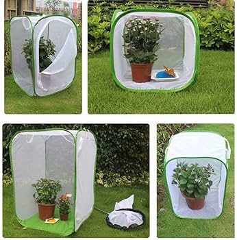 Amazon | 蝶 虫かご 昆虫飼育箱 昆虫ケージ 折りたたみ 飼育ケース