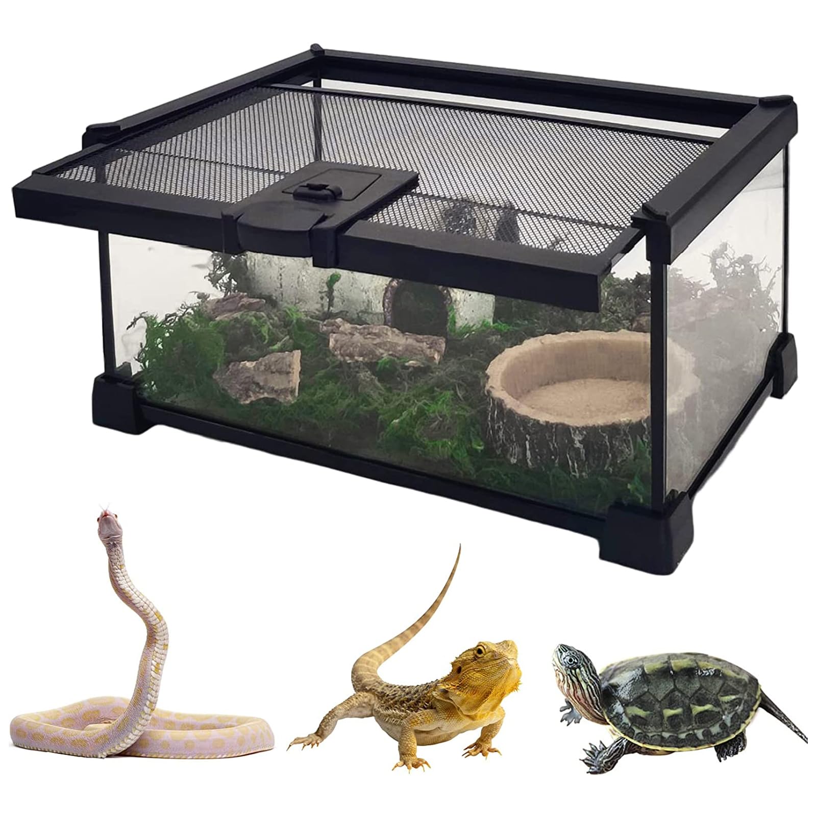 ヘルズ】爬虫類ケージ×6 ヘルズ】爬虫類ケージ×6 爬虫類ケージ