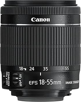 Amazon.com : Canon EF-S 18-55mm f/3.5-5.6 is STM Camera Lens