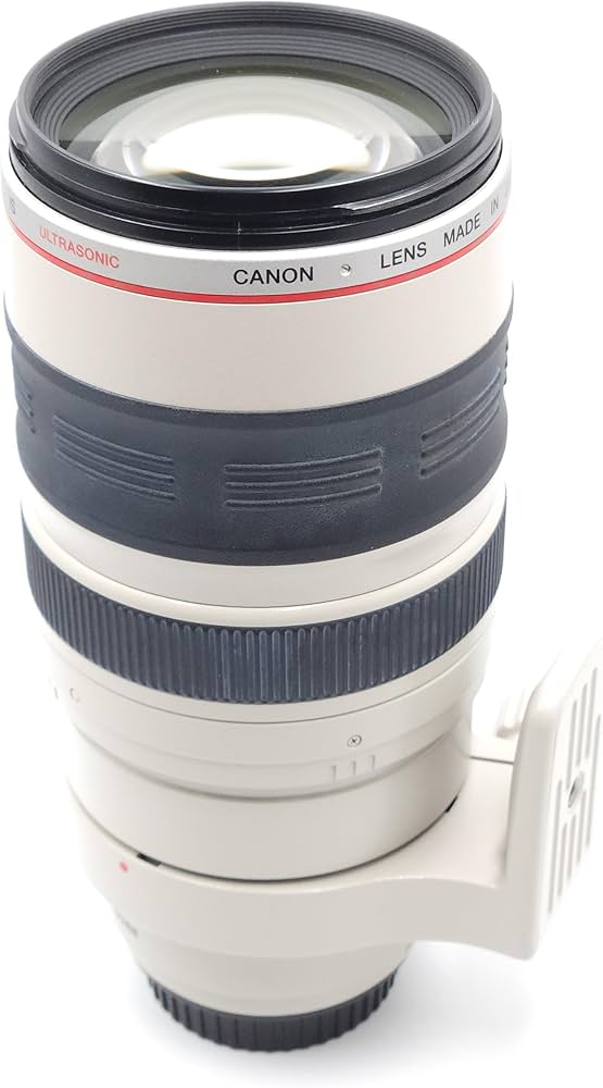 Amazon.com : Canon EF 100-400mm f/4.5-5.6L IS USM Telephoto Zoom