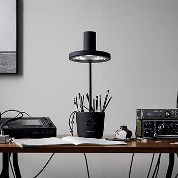 Amazon.co.jp: 【1年保証付】バルミューダ ザ・ライト 太陽光LED