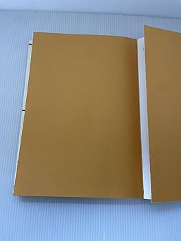 沖縄伝武備志 | 大塚 忠彦 |本 | 通販 | Amazon