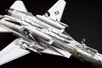 Amazon.com: 1:48 Tamiya Grumman F-14A Tomcat Model Kit : Arts