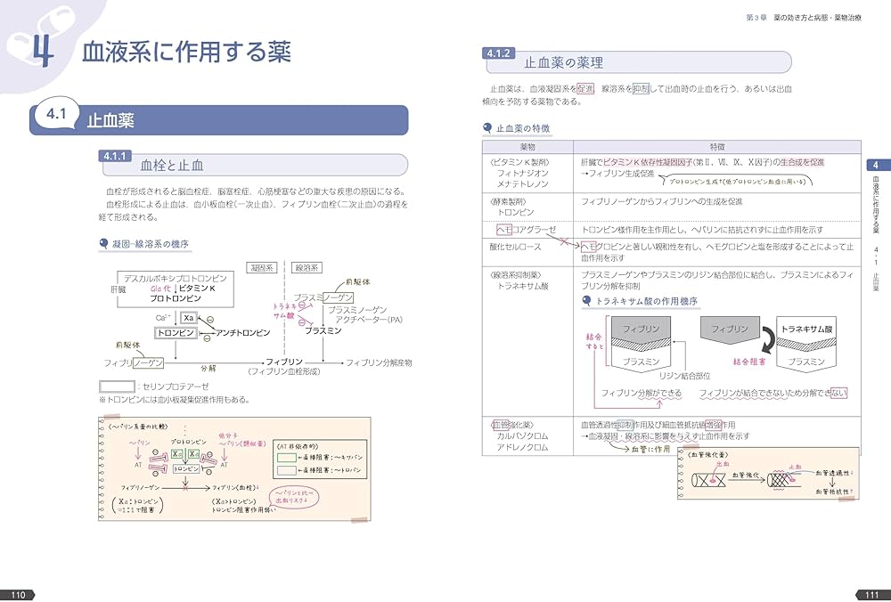 薬ゼミの要点集 薬理（薬剤師国家試験対策参考書） | 薬学ゼミナール