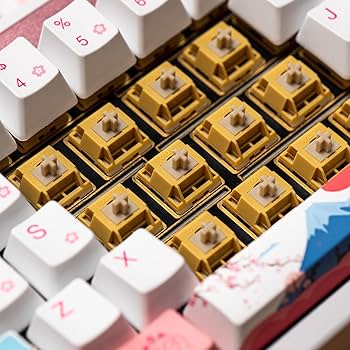 Amazon.com: Akko Bittersweet Tactile Keyboard Switch for