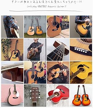 Amazon | HONEY BEE アコースティックギター F-15 初心者入門16点