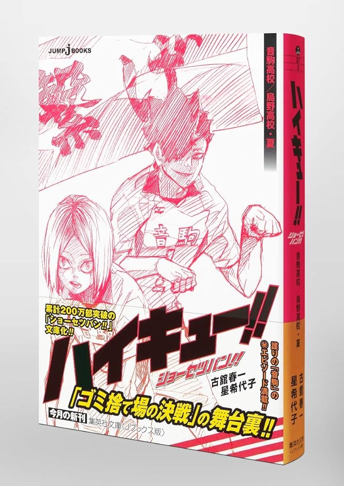 ハイキュー!! ショーセツバン!! 音駒高校/烏野高校・夏 (集英社文庫