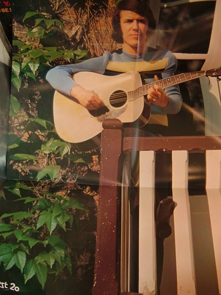 ADAMO - Adamo Best 20 (Japan Vinyl Lp) - Amazon.com Music