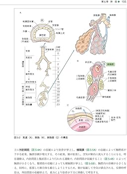 基礎歯科生理学 第7版 | 岩田 幸一, 井上 富雄, 舩橋 誠, 加藤 隆史